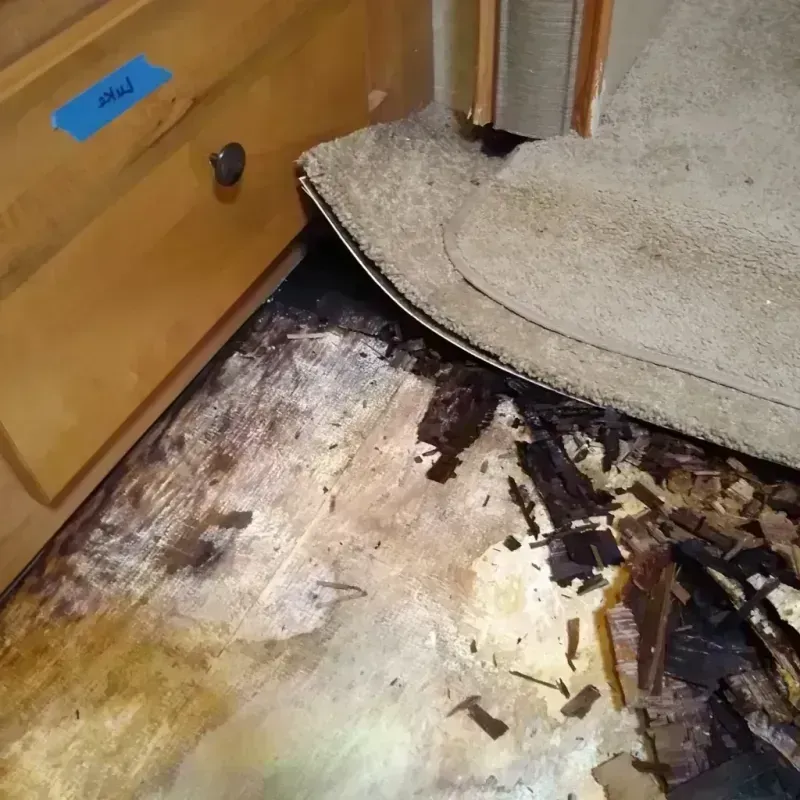 Wood Floor Water Damage in Traverse City, MI